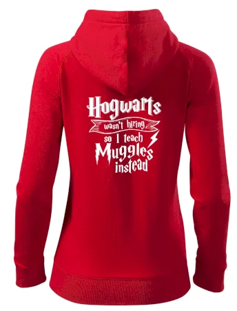 Harry - Hogwarts wasn’t hiring, so I teach Muggles instead