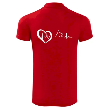 Německý ovčák ekg