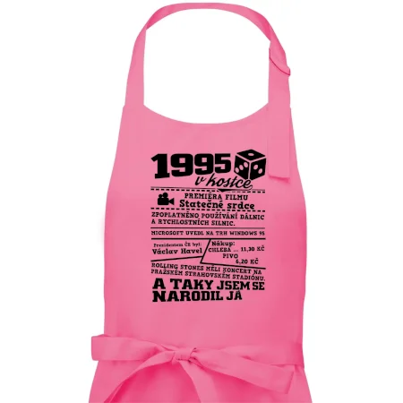 1995 v kostce