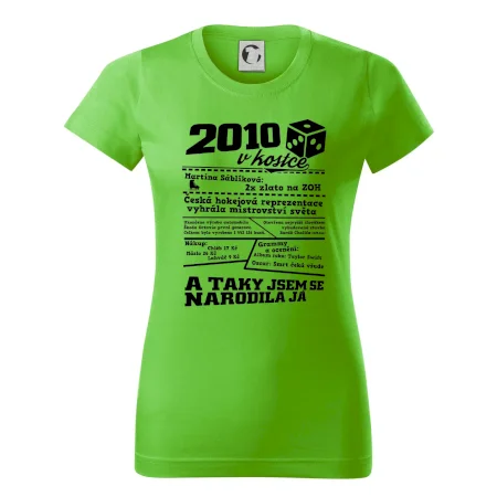 2010 v kostce