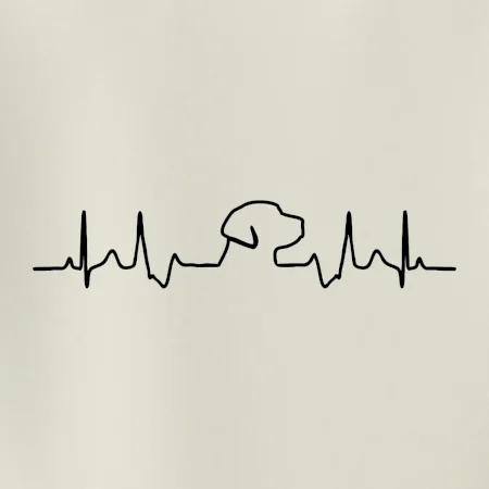 Labrador EKG