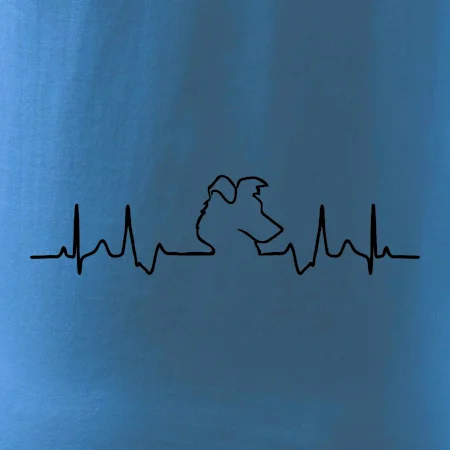 Border kolie EKG