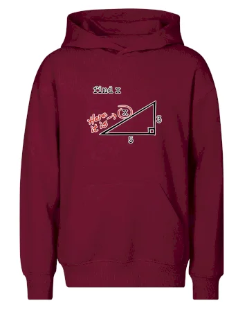 Find X - geometrie