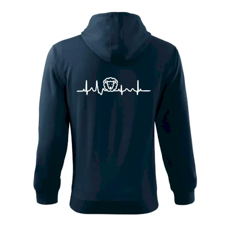 Ekg ovce