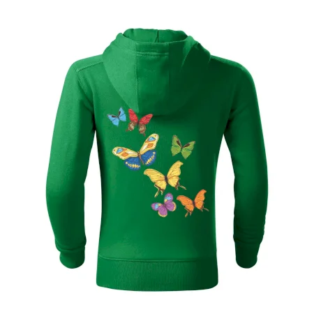 Barevní motýli
