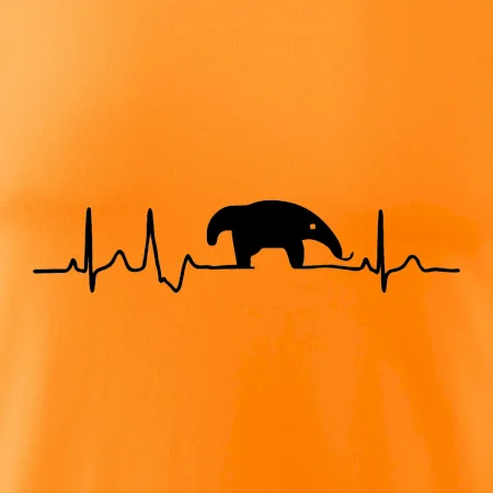 Mravenečník EKG