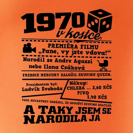 1970 v kostce