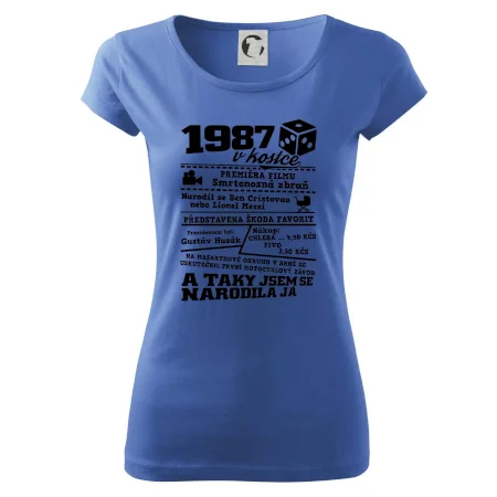 1987 v kostce