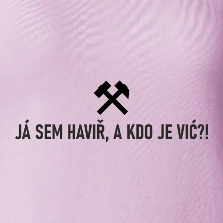 JÁ SEM HAVIŘ, A KDO JE VIĆ?!﻿