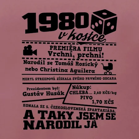 1980 v kostce