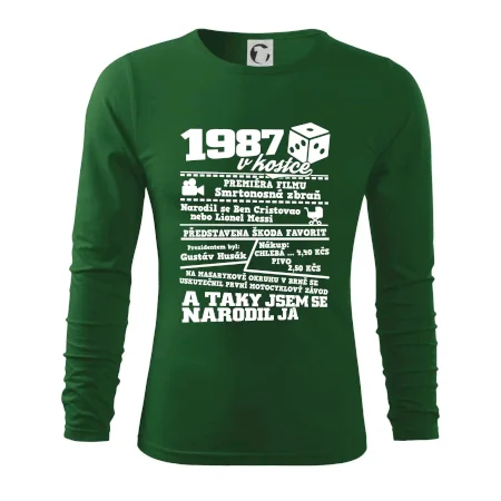 1987 v kostce