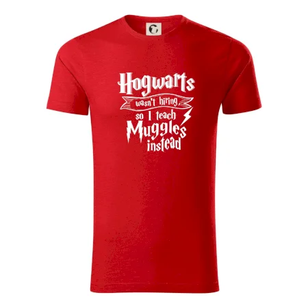 Harry - Hogwarts wasn’t hiring, so I teach Muggles instead