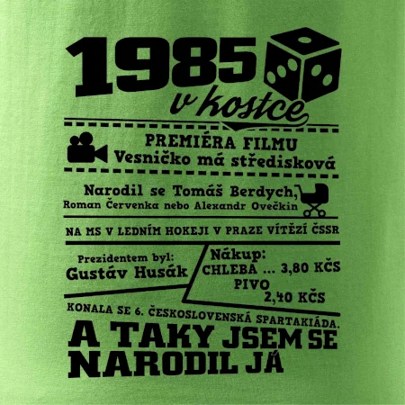 1985 v kostce