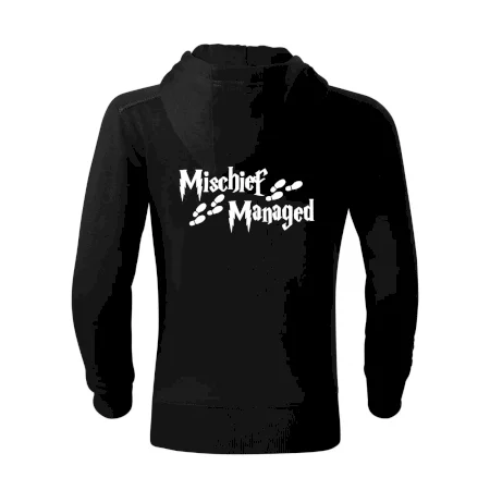 Harry - Mischief Managed