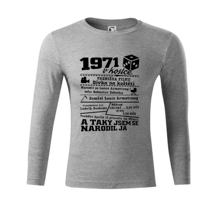 1971 v kostce