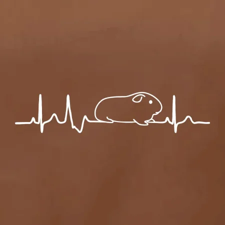 EKG morče