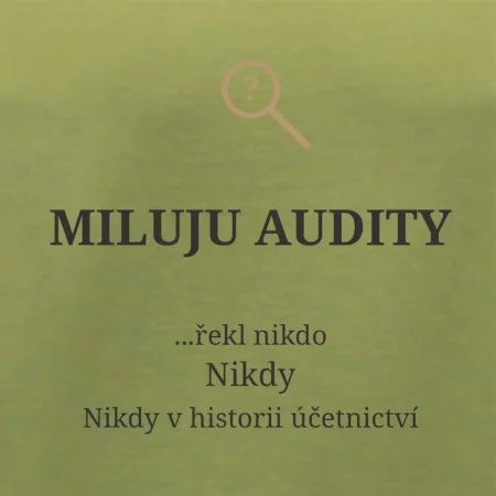 Miluju audity řekl nikdo nikdy