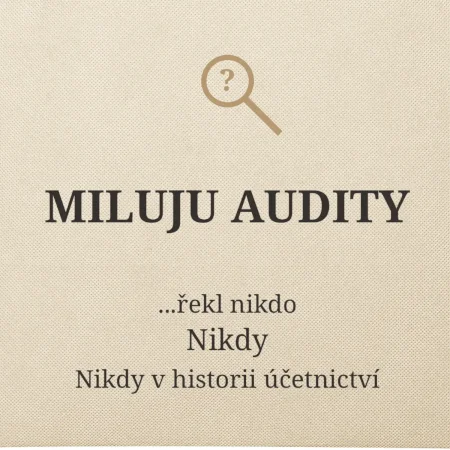 Miluju audity řekl nikdo nikdy