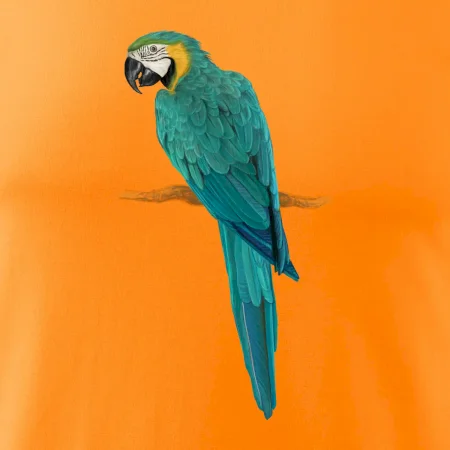 Ara