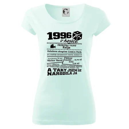 1996 v kostce