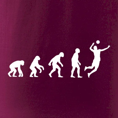 Evoluce volejbal smeč