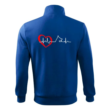 Německý ovčák ekg