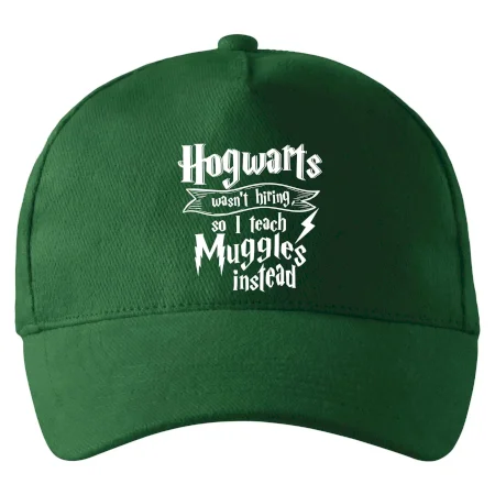 Harry - Hogwarts wasn’t hiring, so I teach Muggles instead