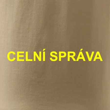 Celní správa