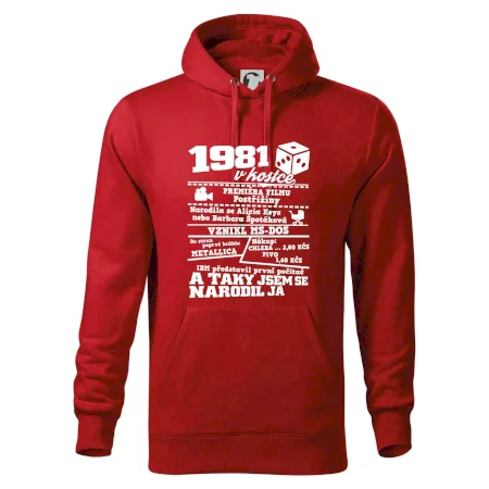 1981 v kostce