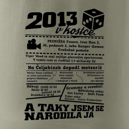 2013 v kostce