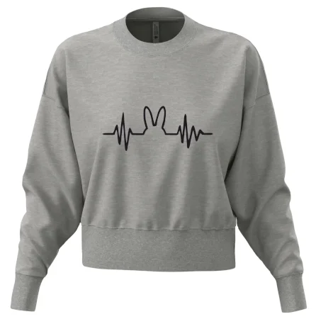 EKG zajíc