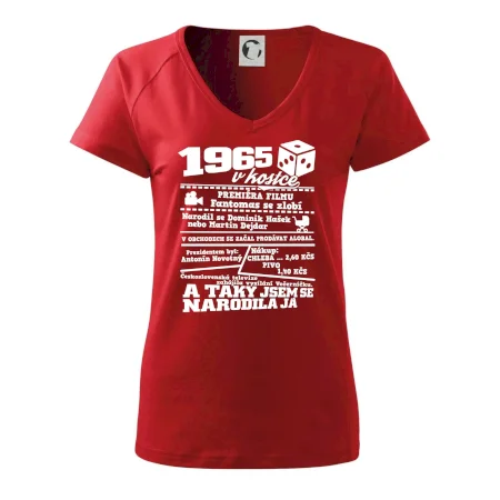 1965 v kostce