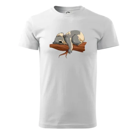 Koala na větvi
