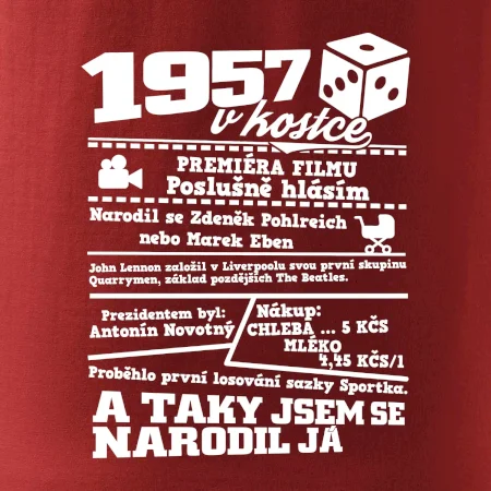 1957 v kostce