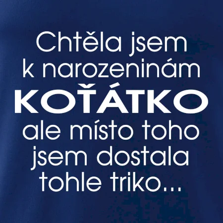 Chtěla jsem dostat k narozeninám koťátko