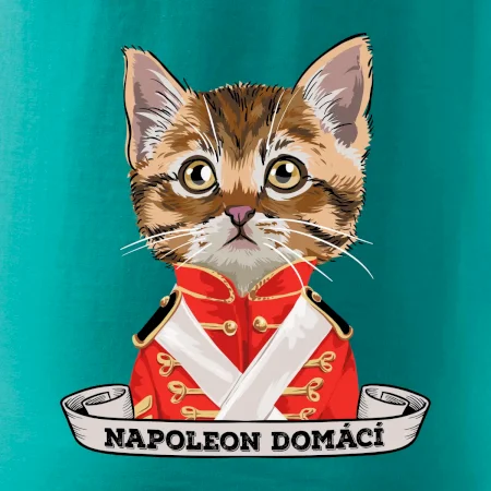 Napoleon domácí kočka