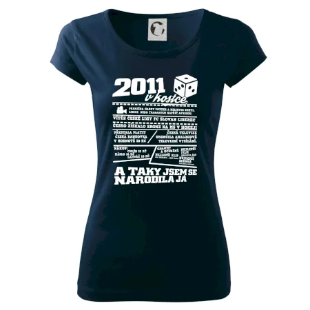 2011 v kostce