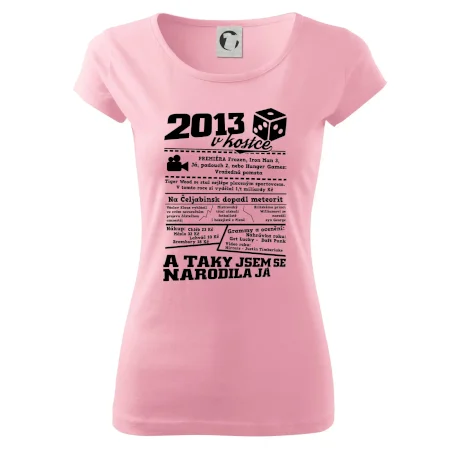 2013 v kostce