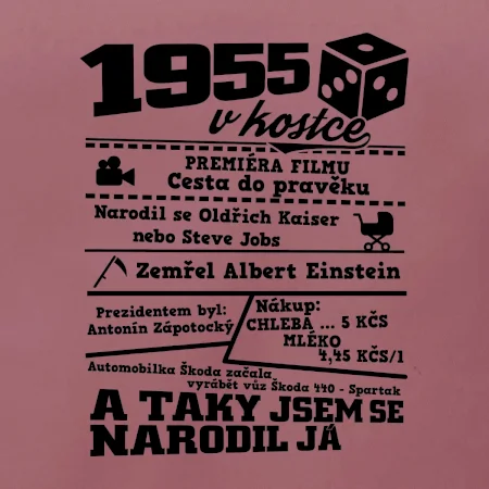 1955 v kostce