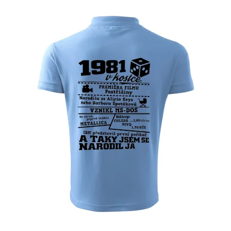 1981 v kostce