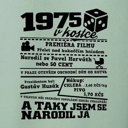 1975 v kostce