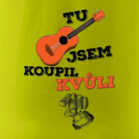 Tu kytaru jsem koupil kvůli tobě
