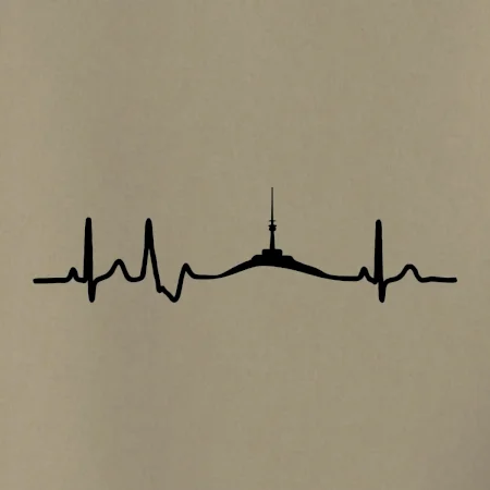 Ekg Jeseníky