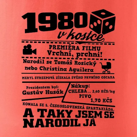 1980 v kostce