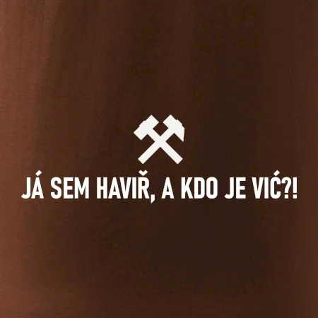 JÁ SEM HAVIŘ, A KDO JE VIĆ?!﻿
