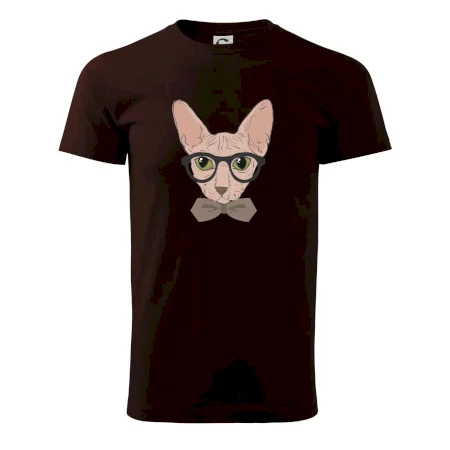 Hipster sphynx