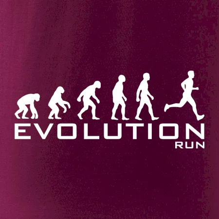 Evoluce Run