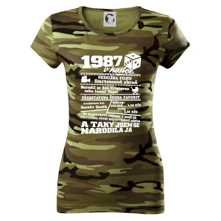 1987 v kostce
