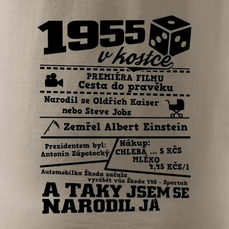 1955 v kostce