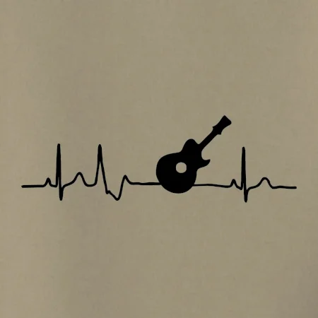 EKG akustická kytara